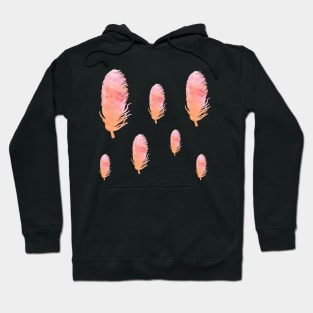 Watercolor feather stickers Hoodie